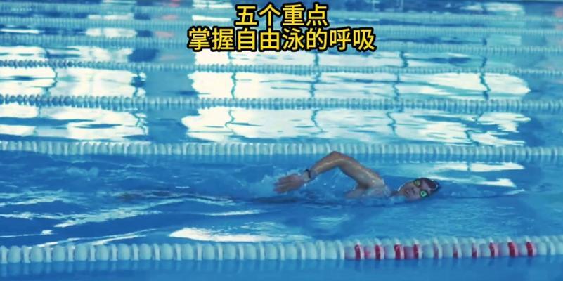 学习游泳的关键技巧（掌握游泳技术的秘诀与窍门）