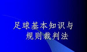 探秘足球世界的无限魅力（以足球知识和技巧介绍自己）