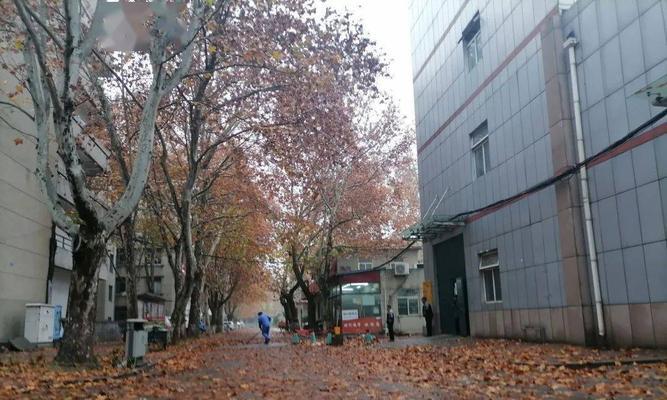 无影山乒乓球健身（探索乒乓球的魅力，拥抱健康生活）