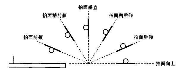 乒乓球中暂停术语的重要性与应用（提升比赛策略的关键技巧）