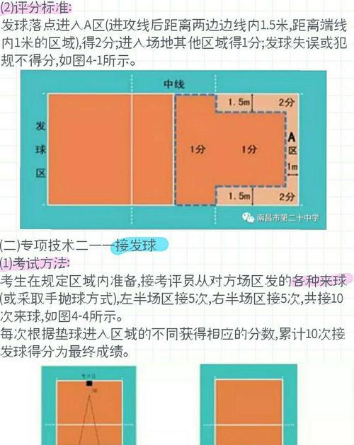 如何正确进行起跳发球的排球动作（掌握关键要领，提高发球技术水平）