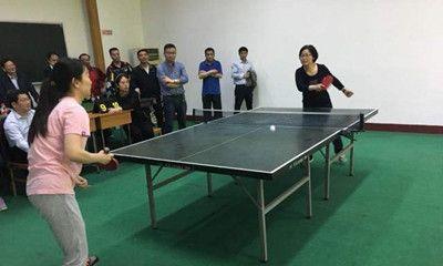 乒乓球比赛中的技巧大揭秘（掌握技巧，提升比赛水平）