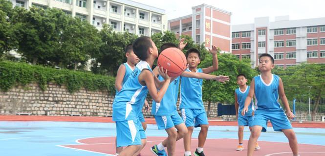 篮球战术中的防守结题报告（分析、应用与优化）