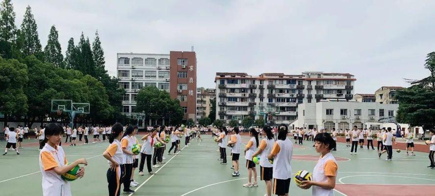 掌握手气排球颠球的技巧与要领（挑战高难度动作，提升排球颠球水平）