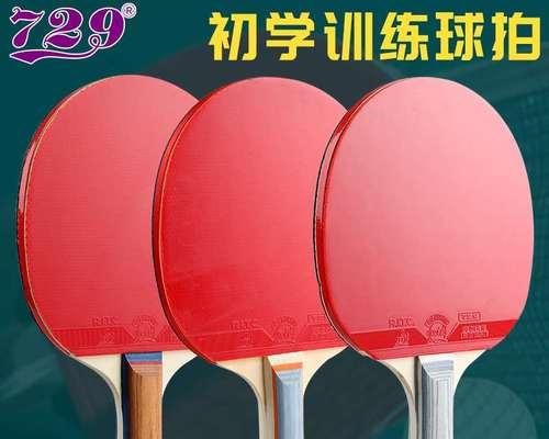 如何培养儿童乒乓球初学者的技巧（简单实用的技巧让孩子轻松入门乒乓球，提升技术水平）