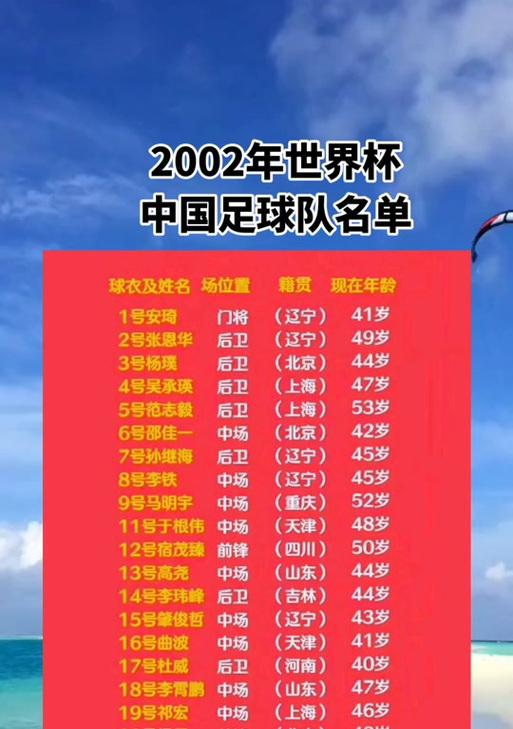 世界杯02年进球数据（一场足球盛宴，留下永恒的回忆）