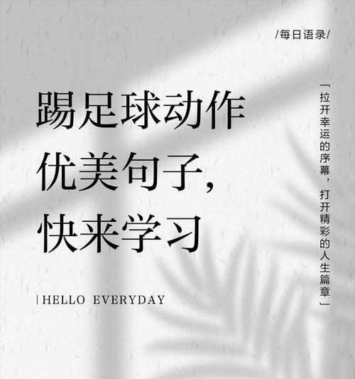 踢足球的技巧大全（掌握这些技巧，成为足球巨星！）